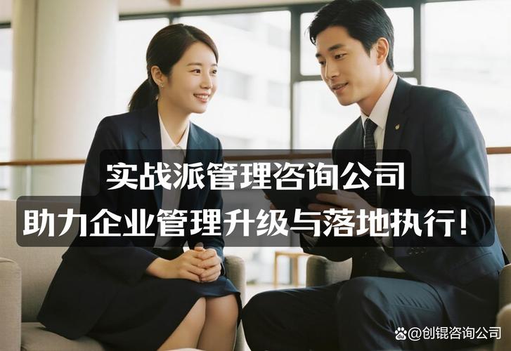 中国企业管理咨询公司方案