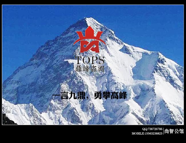 深圳 鼎峰企业管理咨询征集logo设计